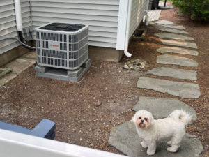 Pet friendly heat pump installation